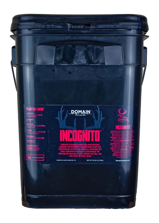 DOMAIN INCFP325   INCOGNITO