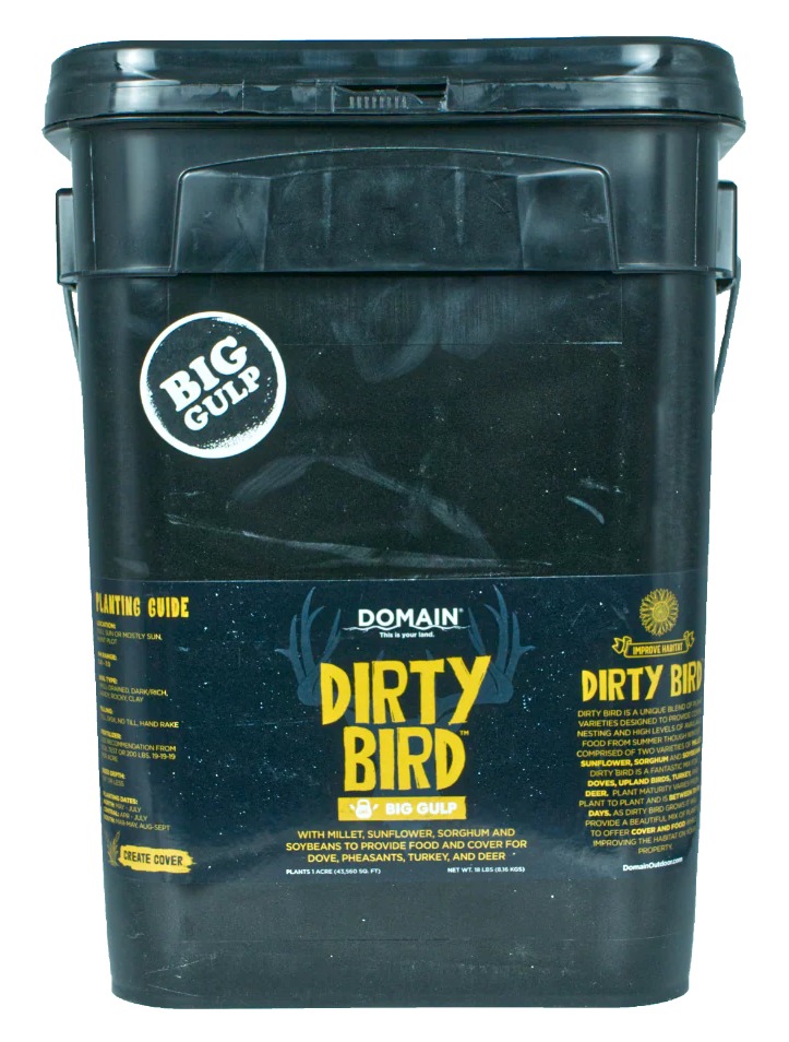 DOMAIN DBFP45     DIRTY BIRD