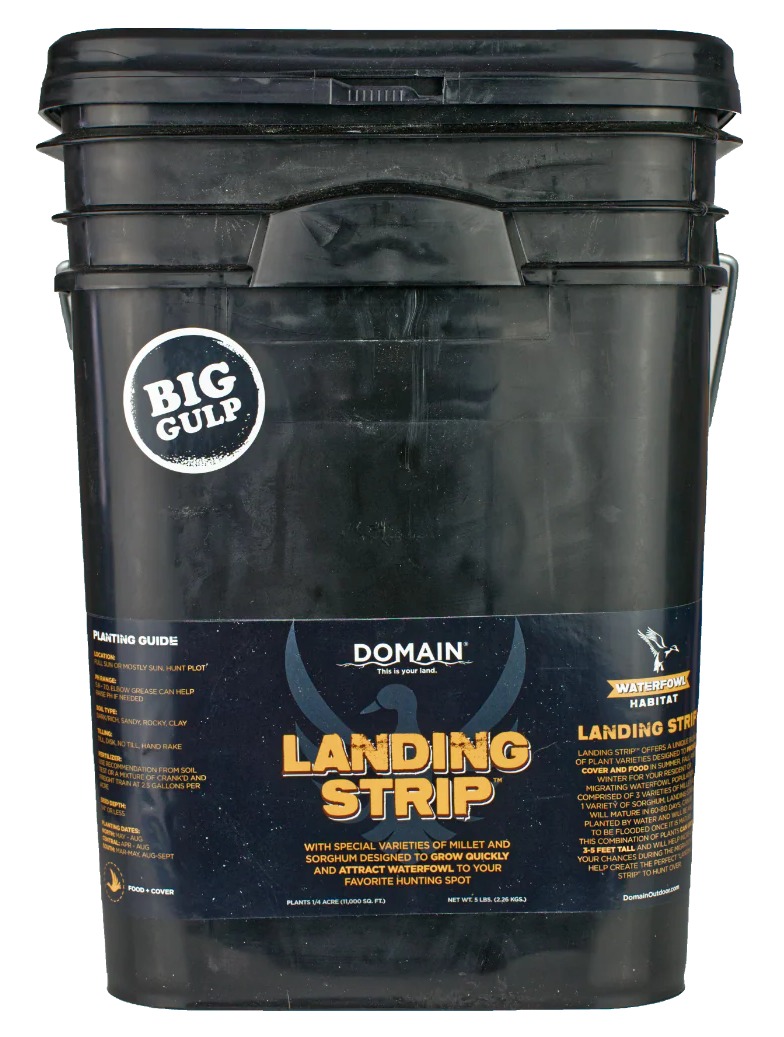 DOMAIN LSFP5      LANDING STRIP