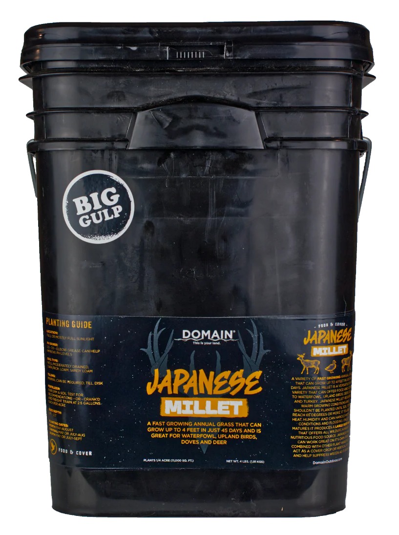 DOMAIN DJMS4LB    JAPANESE MILLET