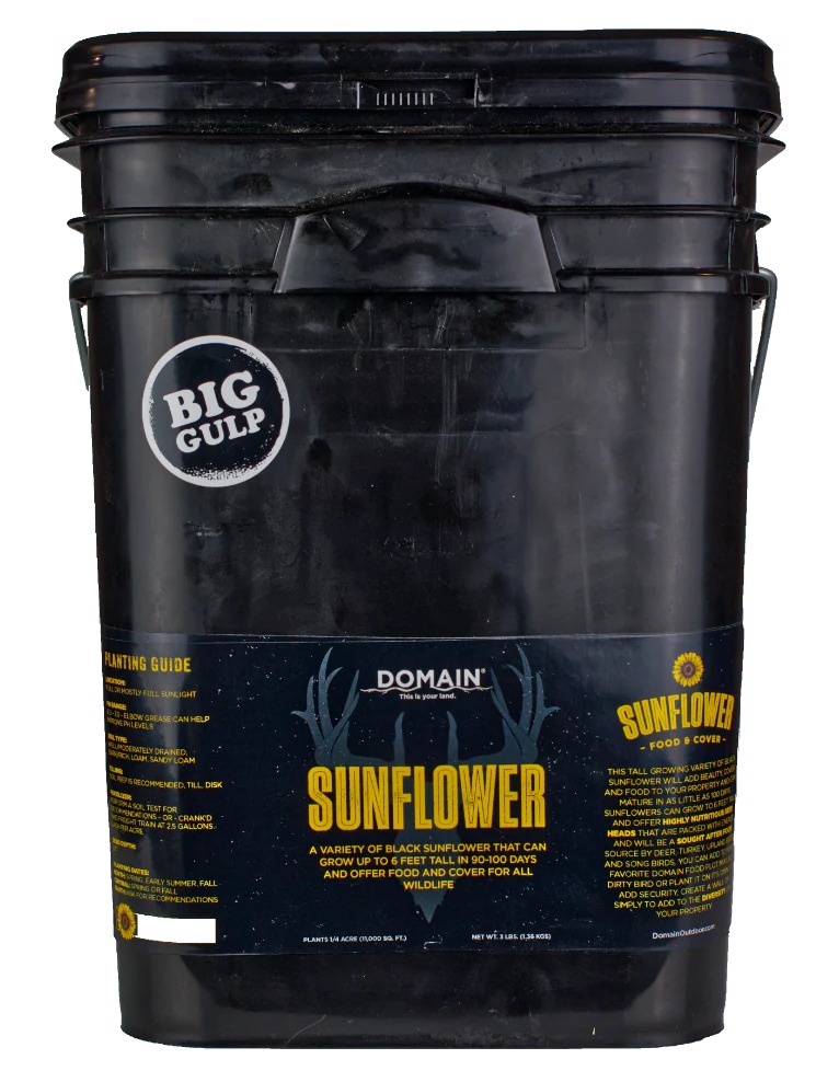 DOMAIN DSS3LB     SUNFLOWER