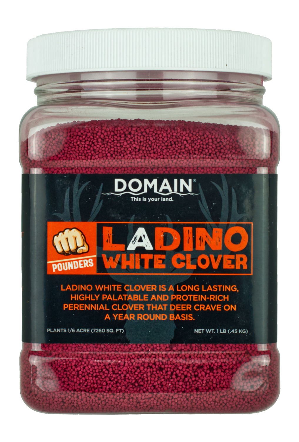 DOMAIN DLWCS1LB   LADINO WHITE CLOVER