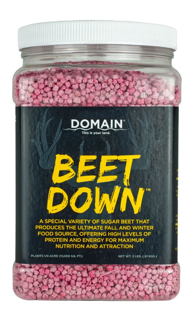 DOMAIN BDFP2       BEET DOWN