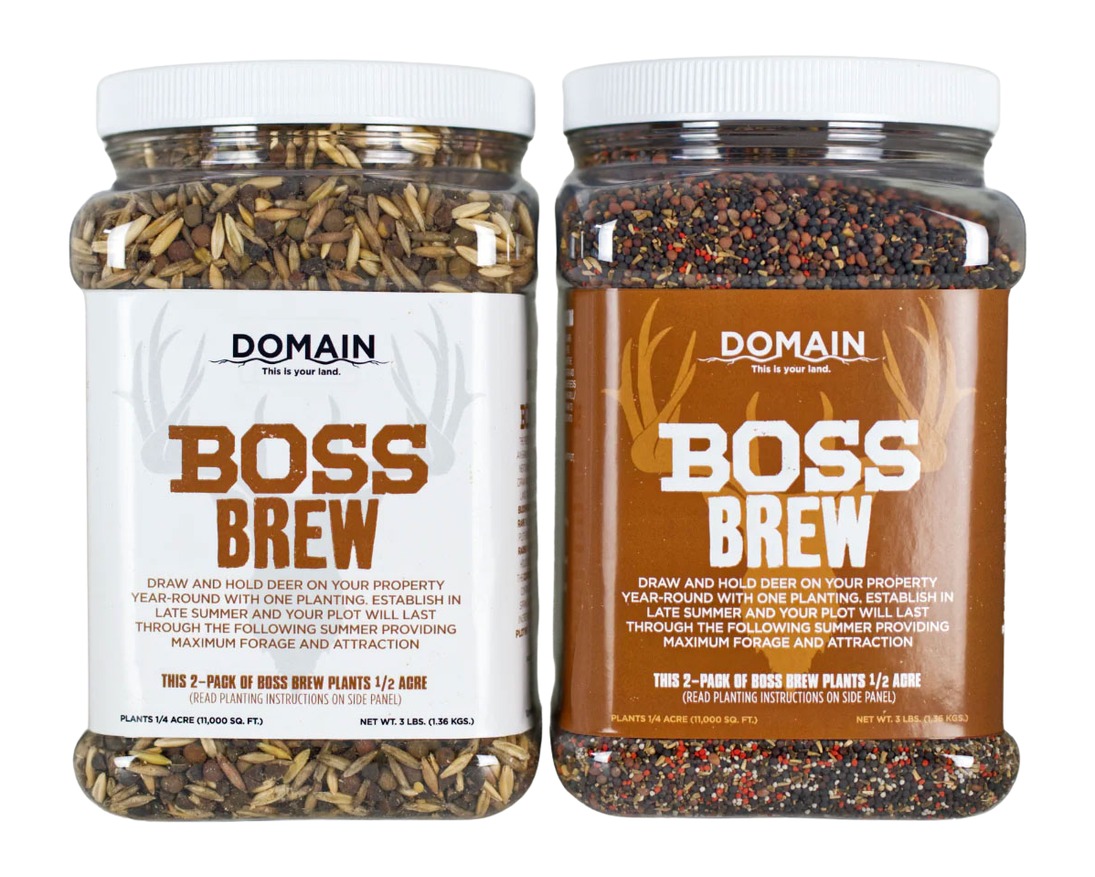 DOMAIN BBFP6       BOSS BREW