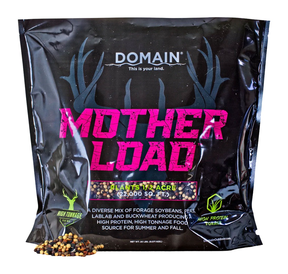 DOMAIN MLFP20      MOTHER LOAD