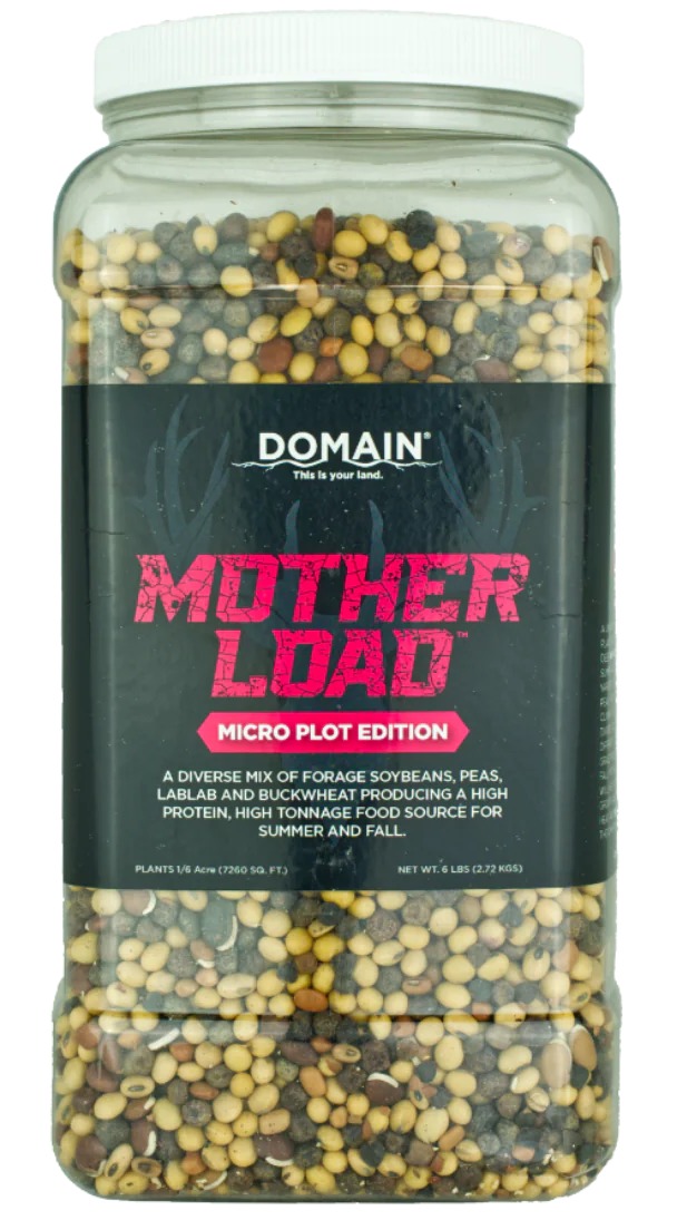 DOMAIN MLFP6-MICRO MOTHER LOAD - MICRO