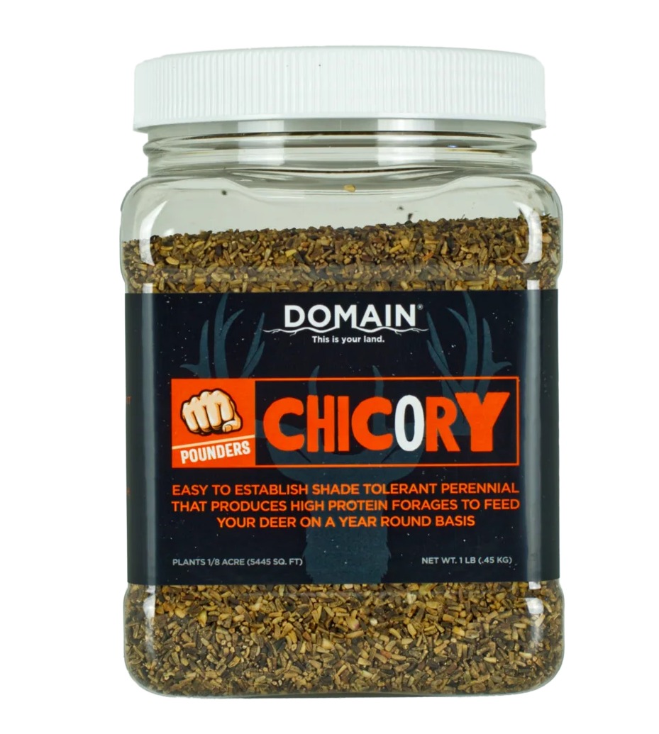DOMAIN DCS1LB      POUNDER - CHICORY