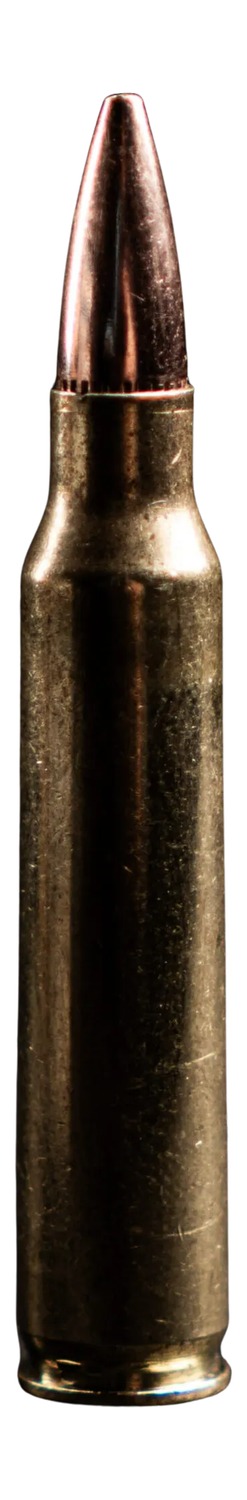 ATOMIC 46610 556         77  HPBT-AD77-20    20/10