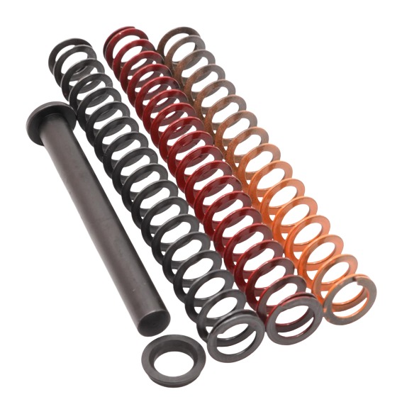TRUE 365STK         RECOIL SPRNG TUNING KIT P365