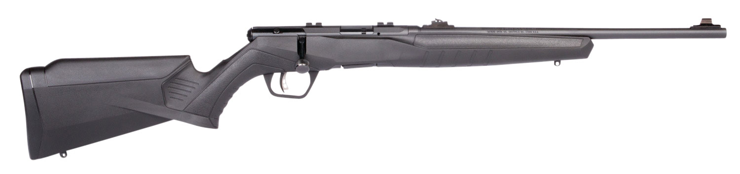 Savage Arms 70214 B22 F Compact 22 LR Caliber with 10+1 Capacity, 18"...-img-0