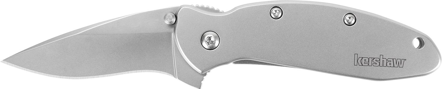 Kershaw 1620FL Scallion 2.4" Drop Point Stainless Pocketknife - Kershaw - DROP POINT