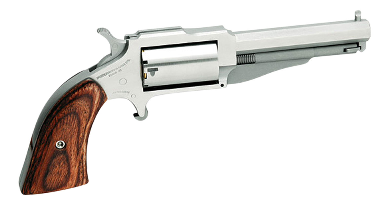 NAA 1860 The Earl 22 Mag 5rd 3" Stainless Revolver Magnum 22WMR WMR - NAA - 22 Magnum