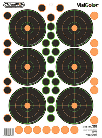 CHAMP 46133 25YD SMALL BORE 5PK W/90 PASTERS