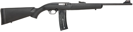 702 SEMI 22LR BL/SYN 25+1 18"#