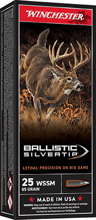 WIN BLLSTC SLVERTP 25WSSM 85GR 20/RD