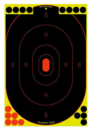 BIR 34603          SHOOT-N-C 12X18 SILHOUETE 100PK
