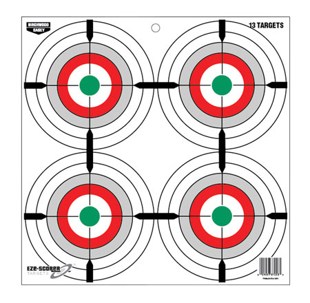 BIR 37253          EZESCORER 12"MLTI BLLEYE PPR 13