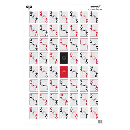 B/C TARGET EZE-SCORER 23"X35"