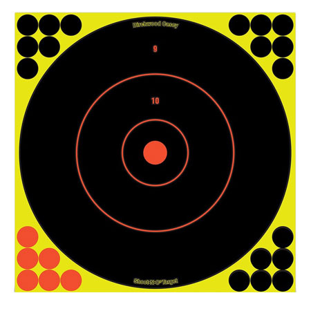 BIR 34070          SHOOT-N-C 12" BULLSEYE    100PK
