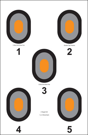 ACTION 530OC100       CNTR-5 BLLSY TARGET    100BX