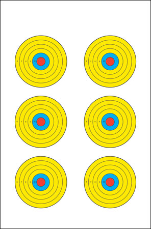 ACTION PRBE6100       VISL 6BLLSYE TARGET    100BX