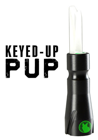 PRED 97505 KEYED UP PUP DISTRESS PRED CALL