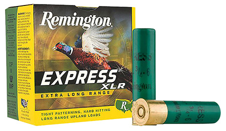 REM 28049 SP2875 EXPRESS 28 2.75 7SHT    3/4 25/10