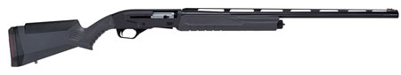 SAV 57602 RENEGAUGE FIELD     12 28