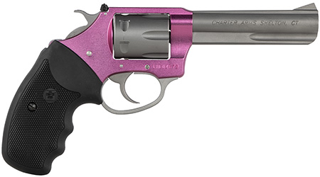 CHA 52232 PATHFINDER LITE 22  4.2 8SHOT  AS PNK/SS