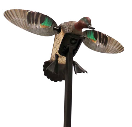 MOJO ES - Green Wing Teal