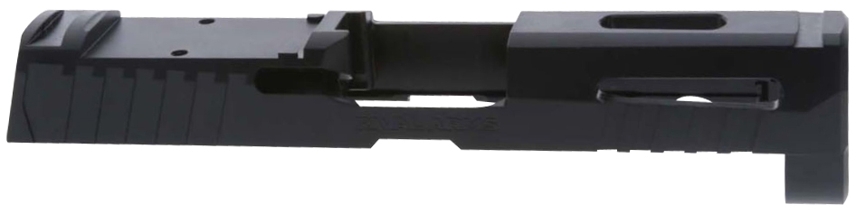 RIVAL RA10P302A    SLD SIG320 CARRY A1 DOC BLK