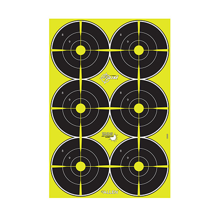 ALLEN EZ AIM 12"X18" BULLSEYE 8PK