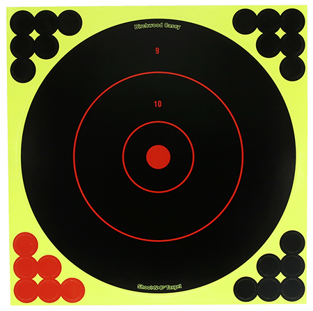 12" Target Dispenser 12pk