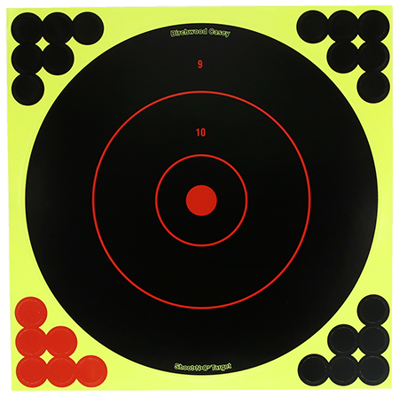 BIR TDSNC12-25PK   12" TARGET DISPENSER       25PK