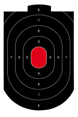 BIR 35609          DIRTYBRD 12X18 SIL         50PK