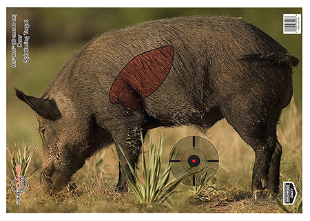 BC PREGAME 16.5X24 BOAR TARGET 3PK
