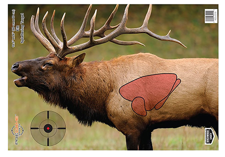 BIR 35404          PREGAME 16.5X24 ELK         3PK