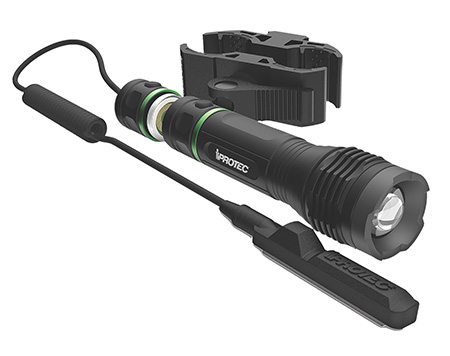 IPROTEC 6653 LG 250 GREEN LIGHT