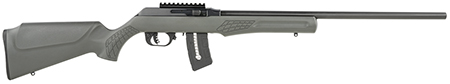 Rossi RS 22WMR Gray 21IN 10 RDS