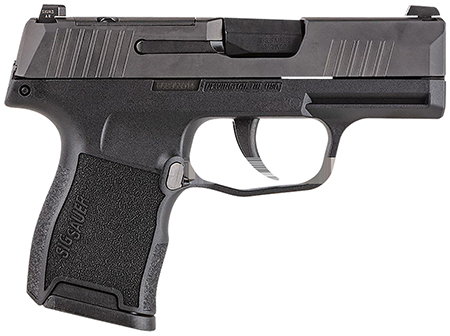 P365 380ACP BLK 10+1 NS