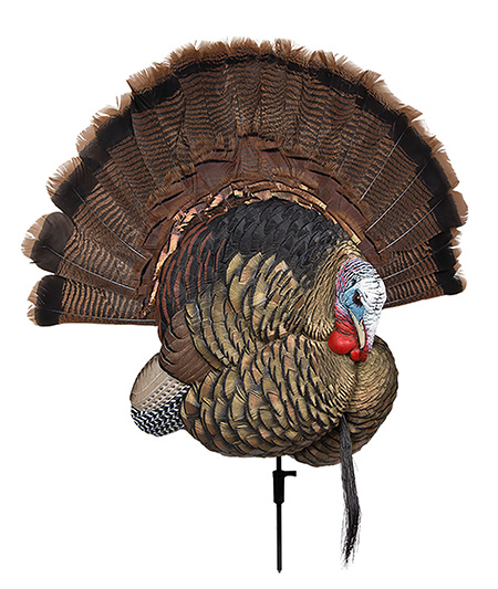 AVIAN-X TROPHY TOM TKY