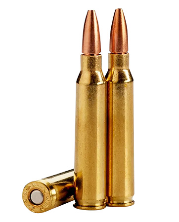 LEHIGH CTRL CHAOS 223REM 62GR 20/200