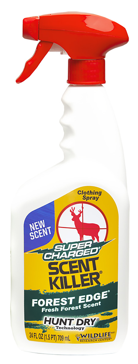 WILD 593    SK FOREST EDGE                    24OZ