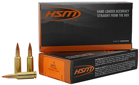 HSM 6ARC-1N      6MMARC   75 VMAX            20/25