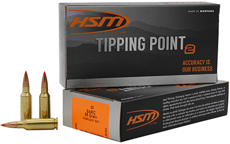 HSM TIPPING POINT 2 6MM ARC 95GR SST 20/25