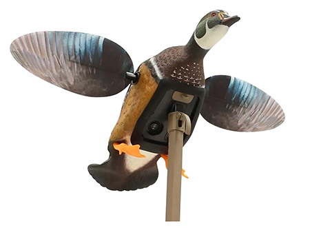 MOJO ES - Woody
