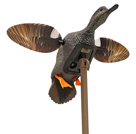 MOJO ES - Gadwall