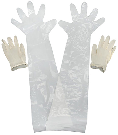 ALLEN 51     FIELD DRESSING GLOVES 2PK