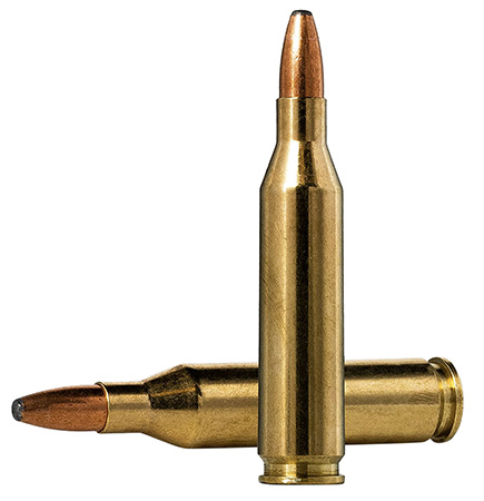 NORMA ORYX 243WIN 100GR 20/10