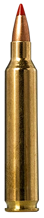 NORMA TIPSTRIKE 204RUG 40GR V-MAX 20/10